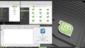 Linux Mint Ulyssa-2021-02-06-08.png
