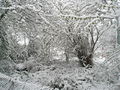 "I ain't seen snow like this since 1947" - geograph.org.uk - 754066.jpg