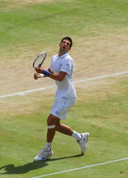Soubor:Djokovic overhead 2011 Flickr.jpg