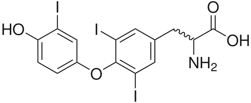 Soubor:Triiodothyronine.png