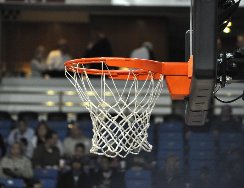 Soubor:Basketball net-2010.jpg