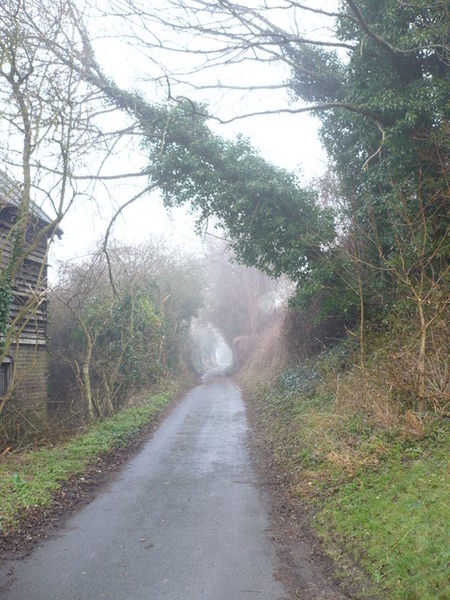 Soubor:Mutton Lane in the fog - geograph.org.uk - 687277.jpg