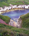 Chalk Cliffs - geograph.org.uk - 173343.jpg