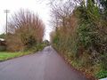 Nut Bush lane - Torbay - geograph.org.uk - 103446.jpg