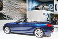 BMW Serie 2 Cabriolet - Mondial de l'Automobile de Paris 2014 - 010.jpg