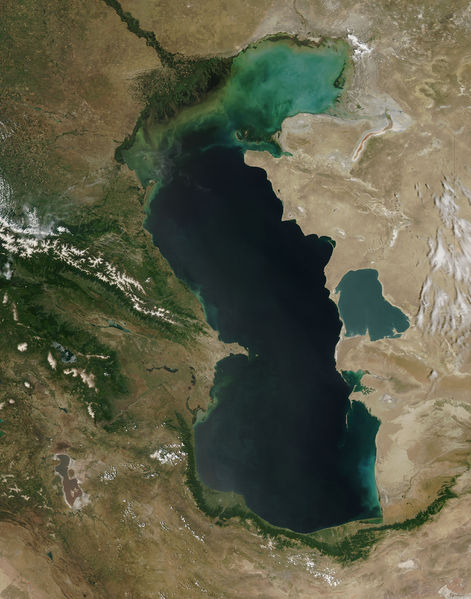 Soubor:Caspian Sea from orbit.jpg