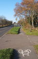 B1113 and cycleway up from Badley Bridge - geograph.org.uk - 614136.jpg