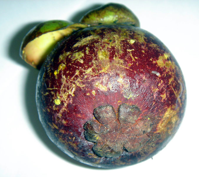 Soubor:Garcinia mangostana fruit3.jpg