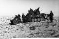 Bundesarchiv Bild 101I-783-0145-35A, Nordafrika, Halbkettenfahrzeug mit leichter Flak.jpg