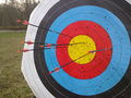 WA target used in archery shooting at Radeberg.jpg