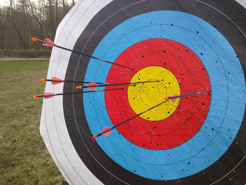 Soubor:WA target used in archery shooting at Radeberg.jpg