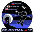 Soyuz-TMA-17-Mission-Patch.png
