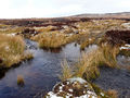 "Ford" at Loch Salachaidh - geograph.org.uk - 710968.jpg