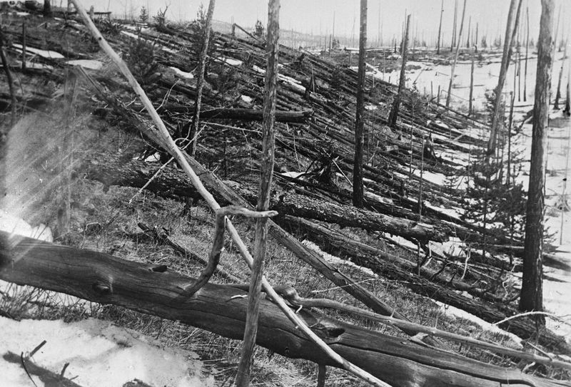 Soubor:Tunguska Ereignis-1.jpg