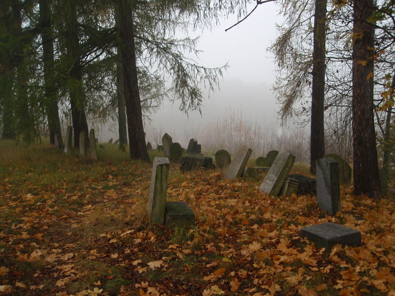 Soubor:Židovský hřbitov v Puklicích.JPG