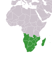 Mapa Afriky, zvýrazněny jsou státy jižní Afriky.