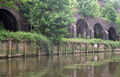 GWR arches, below Conham Ferry - geograph.org.uk - 181452.jpg