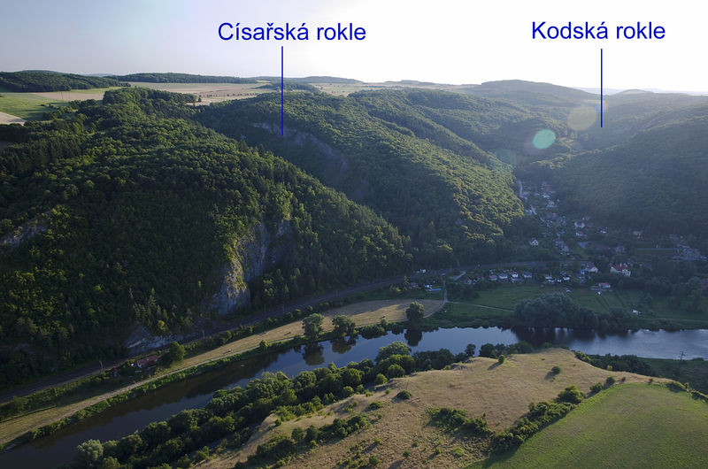 Soubor:Koda rokle.jpg