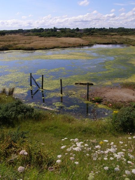 Soubor:Lagoon, Pennington Marshes - geograph.org.uk - 504488.jpg