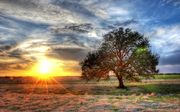 A Sunset on a Texas Farm Flickr.jpg
