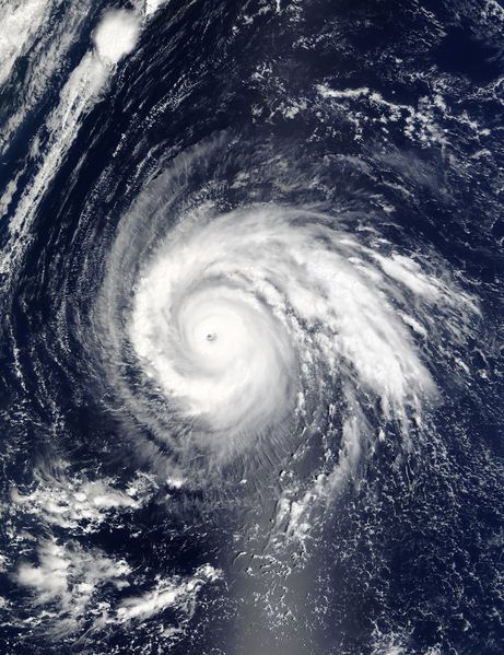 Soubor:Taifun Higos.jpg