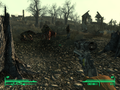Fallout 3-2020-089.png