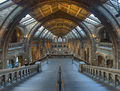 Natural History Museum Main Hall, London, UK - Diliff.jpg