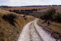 Chalk Track descending off Beamer Hill - geograph.org.uk - 158580.jpg