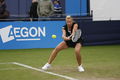 Kveta-Aegon International Tennis-Flickr.jpg