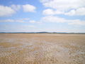 SE across High Sand - geograph.org.uk - 1391691.jpg
