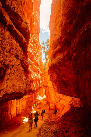 Národní park Bryce Canyon  je jeden z národních parků v Utahu