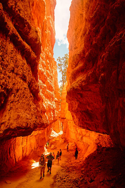 Soubor:Bryce Canyon National Park-PSFlickr.jpg