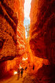 Bryce Canyon National Park-PSFlickr.jpg