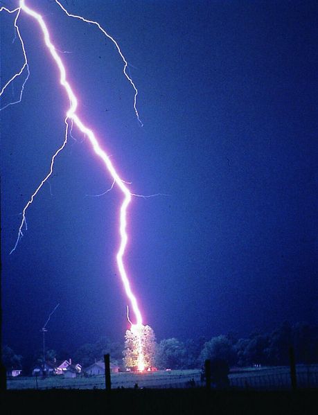 Soubor:Lightning hits tree.jpg