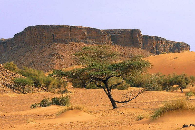 Soubor:Mauritanie - Adrar2.jpg