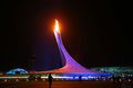 Sochi-Winter-Olympic-Opening-34-FLICKR.jpg