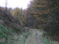 Tywi Forest track near Llyn Brianne, Powys - geograph.org.uk - 1059274.jpg