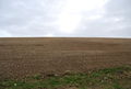 A Bare field near Hawkley Hanger - geograph.org.uk - 1201988.jpg
