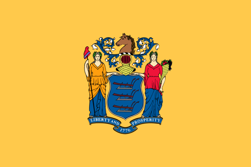 Soubor:Flag of New Jersey.png
