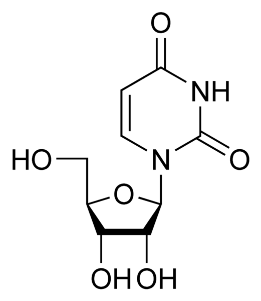 Soubor:U chemical structure.png