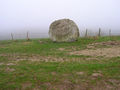 Chalk Stone, South Downs Way - geograph.org.uk - 341522.jpg