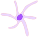 Dendritic Cell ZP.png