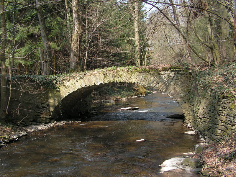 Soubor:Starobylý most přes Jánský potok.jpg