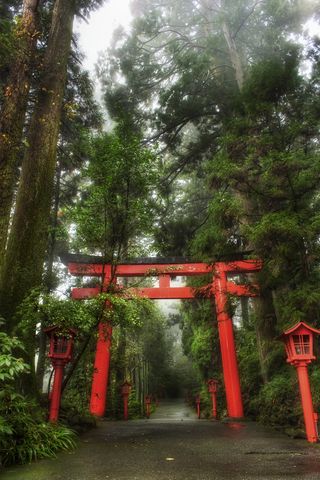The Rainy Forest in Hakone HDR.jpg