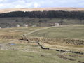 "Hush" and pastures near High Shield - geograph.org.uk - 720740.jpg