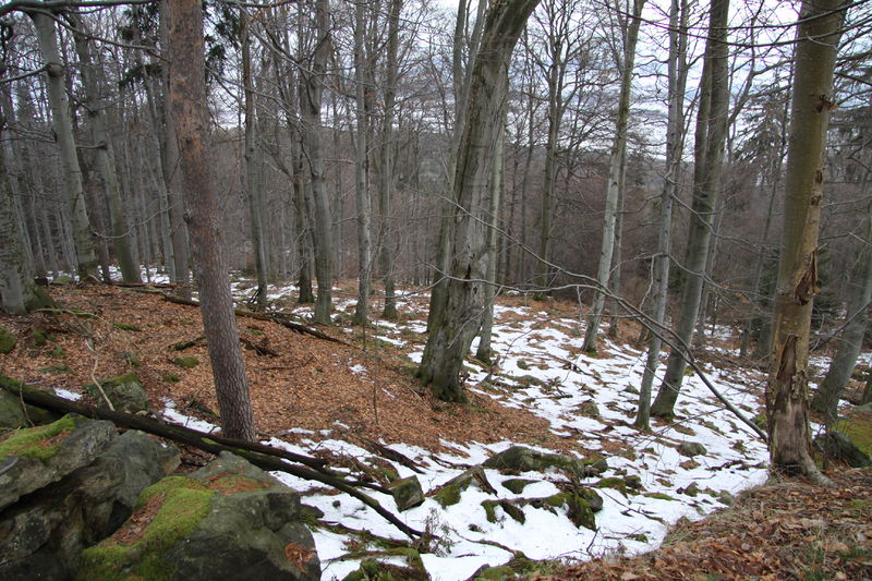 Soubor:Natural reservation Skocicky hrad in winter (12).JPG