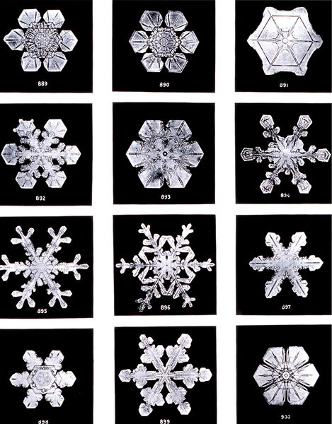 Soubor:SnowflakesWilsonBentley.jpg