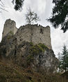 Burgruine Hauenstein in Seis von Norden.jpg