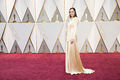 Disney 89th Academy Awards Flickr-3036.jpg