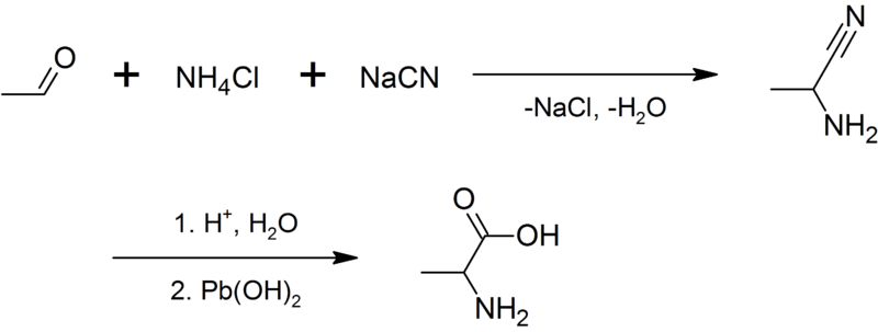 Soubor:Synthesis of alanine - 1.png